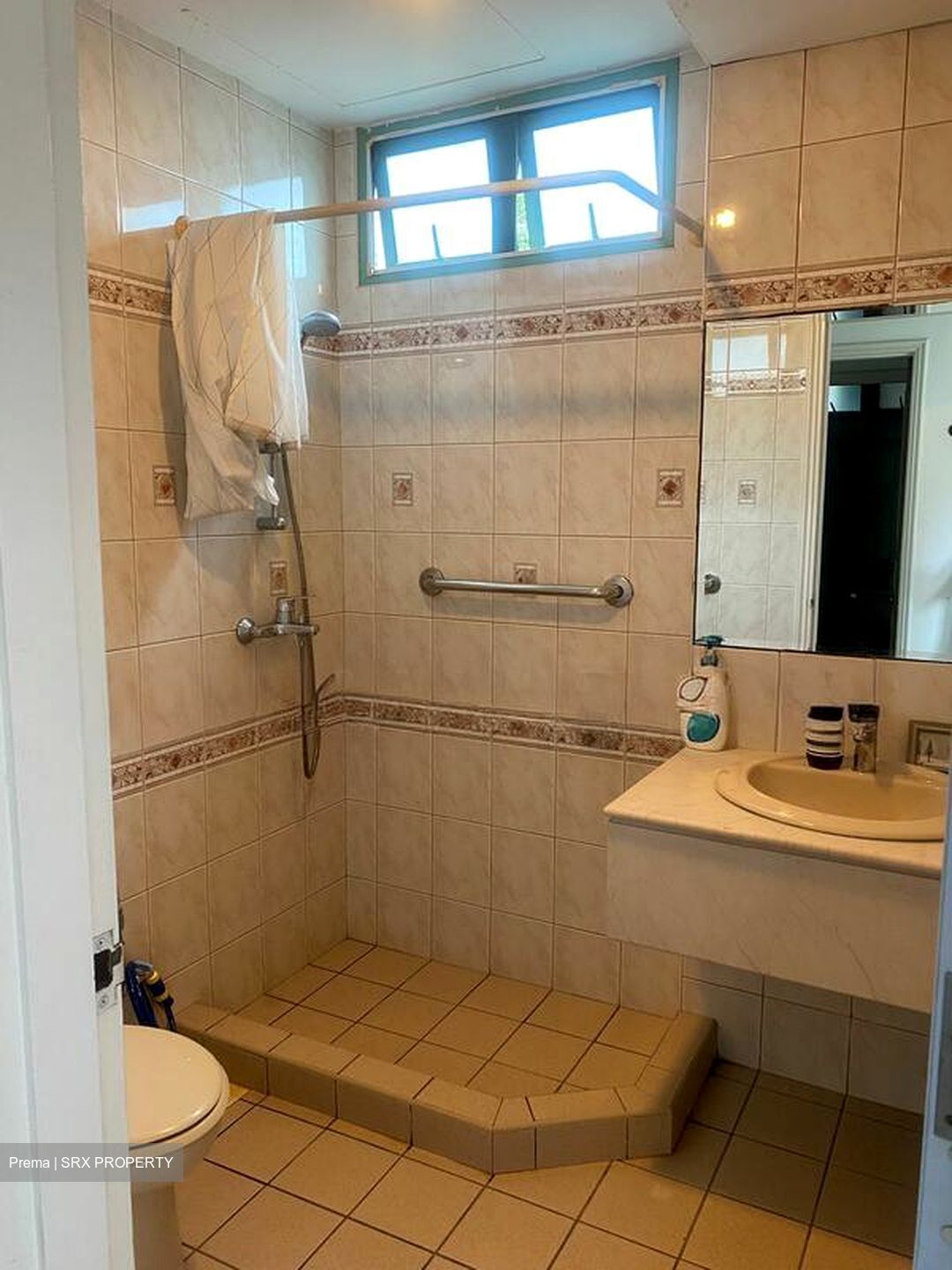 Hillview Park (D23), Condominium #503126441